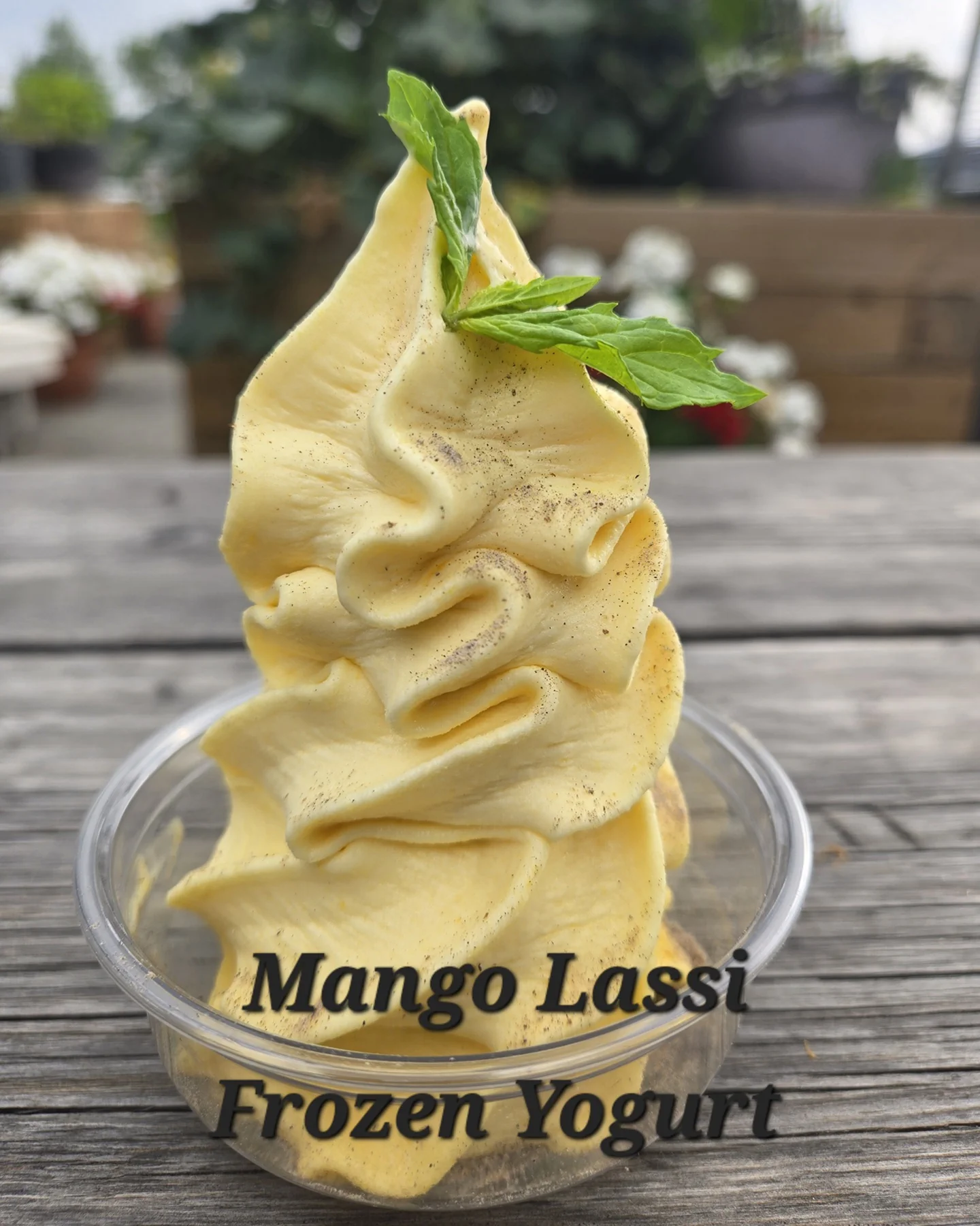 Mango Lassi Frozen Yogurt